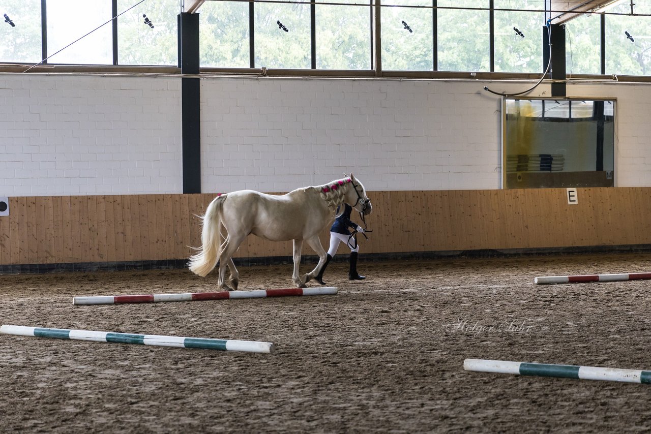 Bild 89 - Pony Akademie Turnier